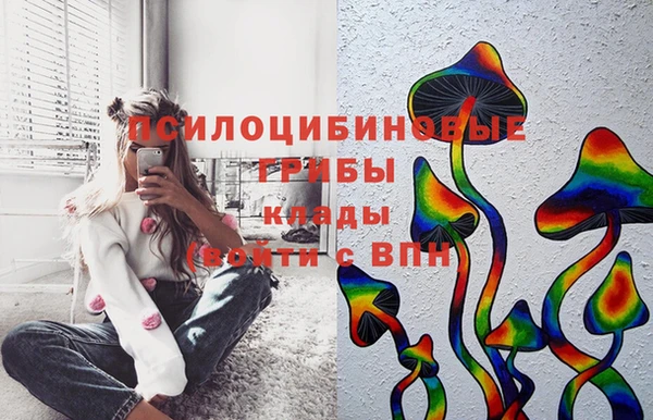 мдпв Горно-Алтайск
