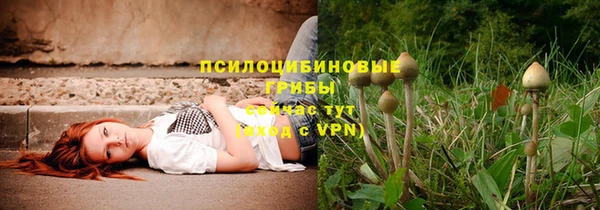мдпв Горно-Алтайск