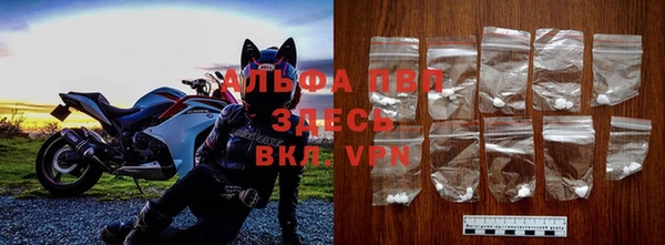 мдпв Горно-Алтайск