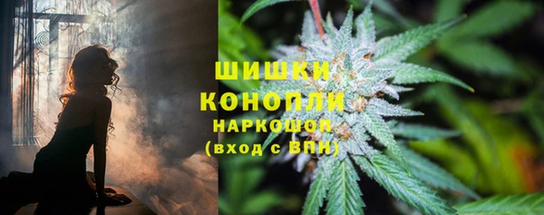 мдпв Горно-Алтайск