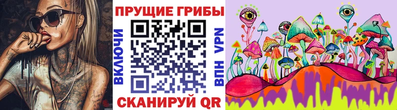 закладка  Нефтекамск  Галлюциногенные грибы Magic Shrooms 
